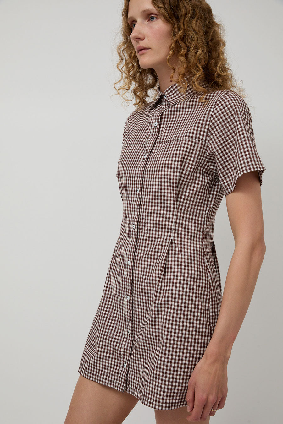 A Bronze Age Sloan Dress in Brown Gingham