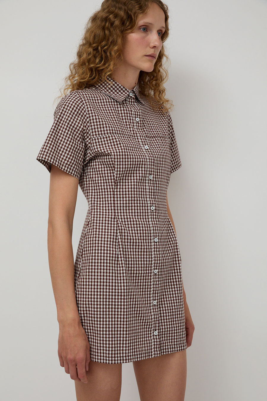 A Bronze Age Sloan Dress in Brown Gingham