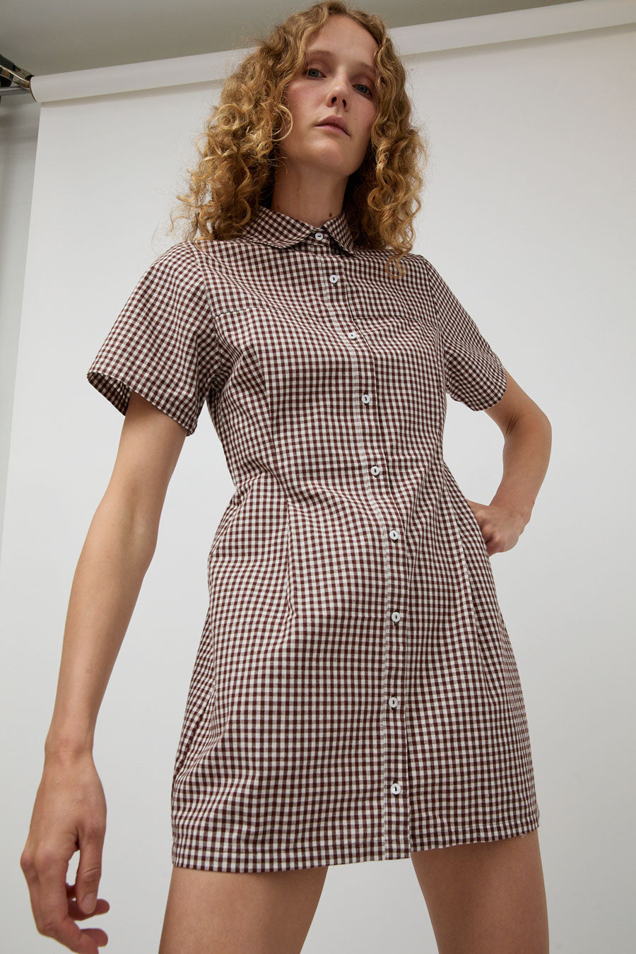 A Bronze Age Sloan Dress in Brown Gingham