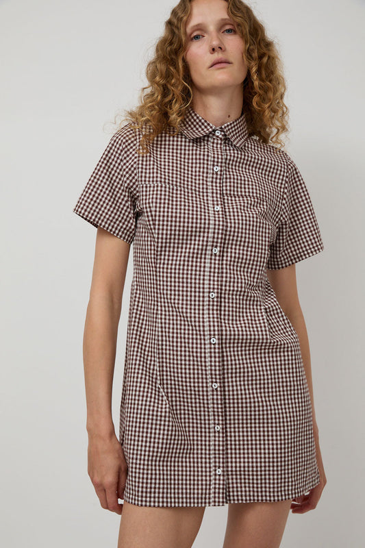 A Bronze Age Sloan Dress in Brown Gingham